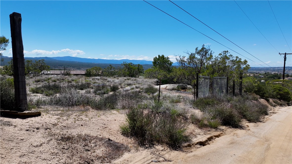 39840 Haupert Road Anza, CA 92539 - Photo 13 of 20 a view of a yard with a tree