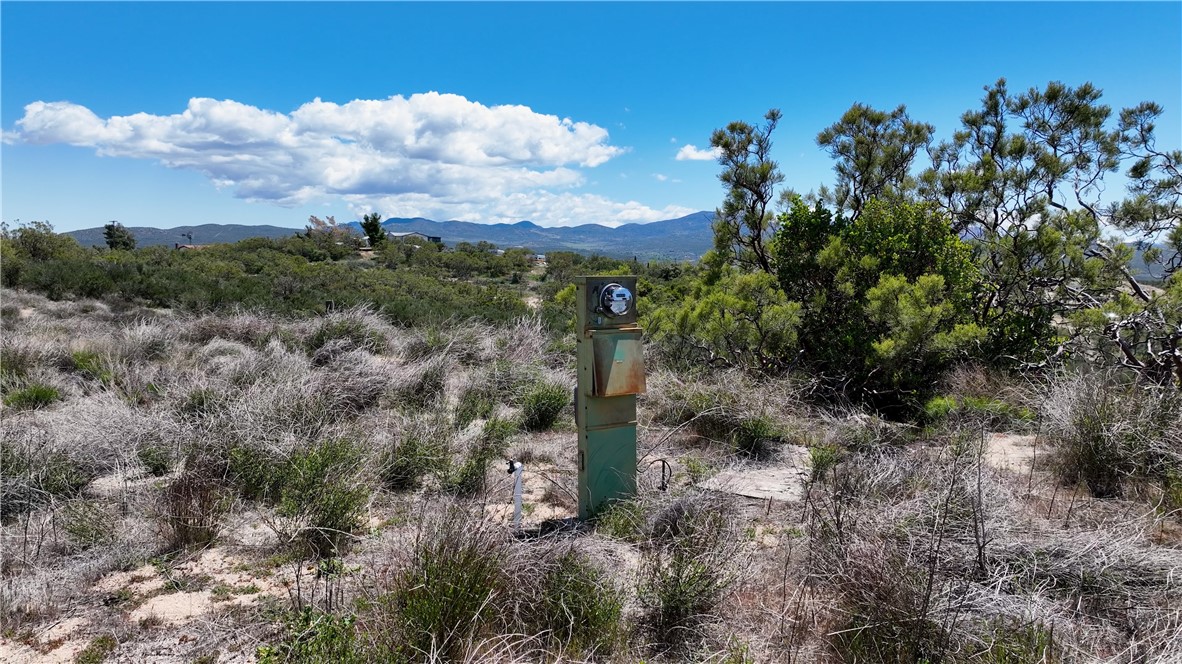 39840 Haupert Road Anza, CA 92539 - Photo 16 of 20 an aerial view of a houses with outdoor space and trees all around