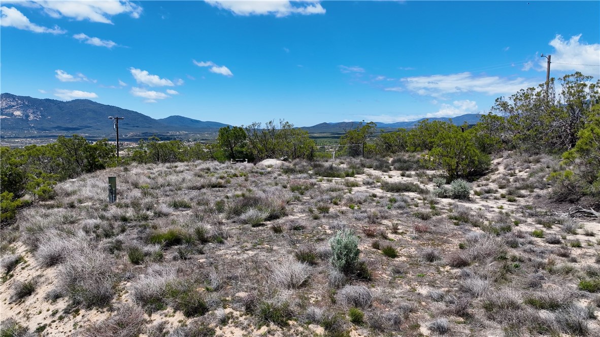 39840 Haupert Road Anza, CA 92539 - Photo 17 of 20 a view of a large yard with a large tree