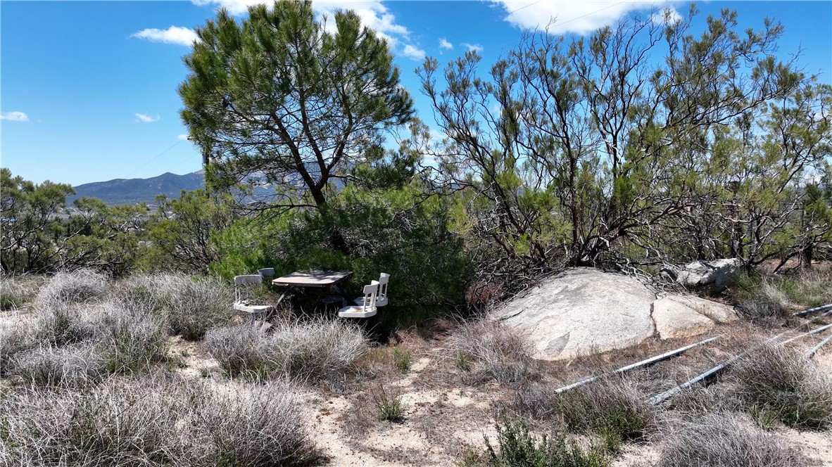 39840 Haupert Road Anza, CA 92539 - Photo 19 of 20 a view of a backyard with water fountain