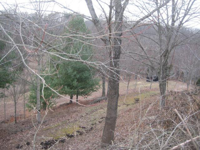 1000 Old Fox Road Irvine, KY 40336 - Photo 21 of 44 Photo 21
