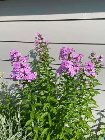 $299,000 | 6202 Highway 73, Floodwood, MN 55736