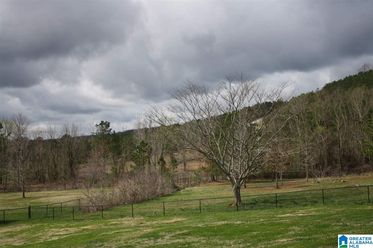 907 Ransome Drive Oneonta, AL 35121 - Photo 20 of 33