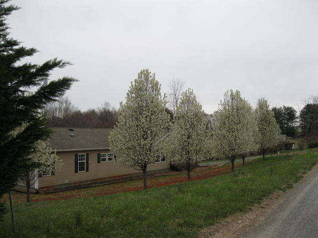 1064 Parrish Road Goodview, VA 24095 - Photo 21 of 21 a view of a house with a yard