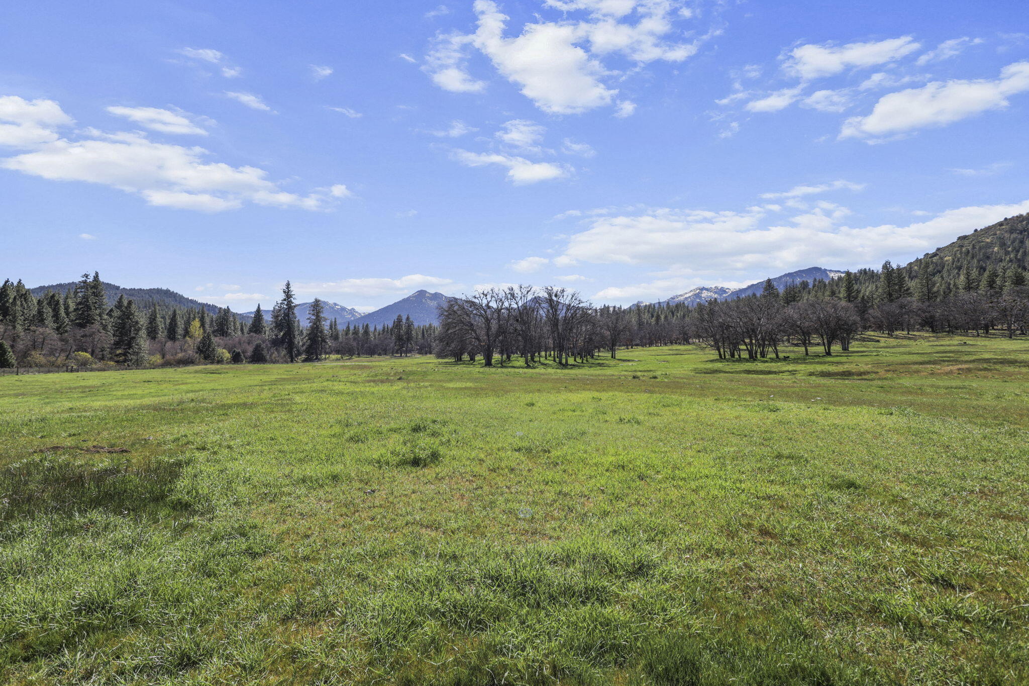 7530 Miners Creek Road Etna, CA 96027 - Photo 87 of 122 86-web-or-mls-LZ0A0642
