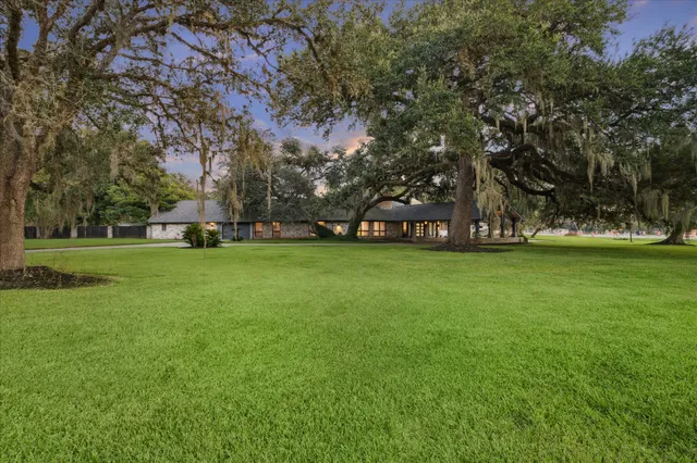 a view of a park with large trees