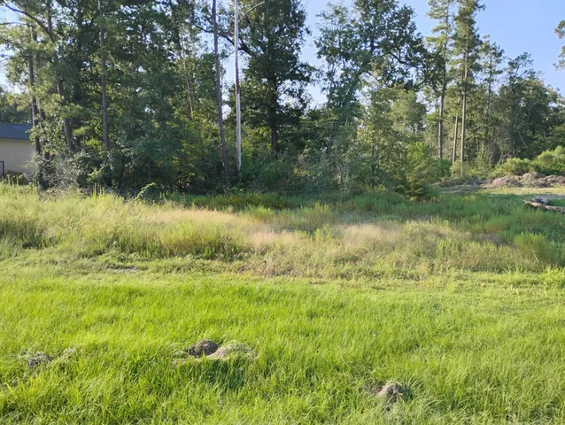 a view of a lake with a yard