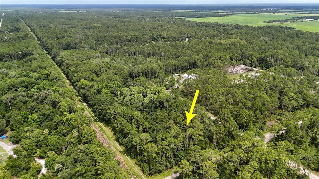 5446 Mango Avenue Bunnell, FL 32110 - Photo 9 of 17