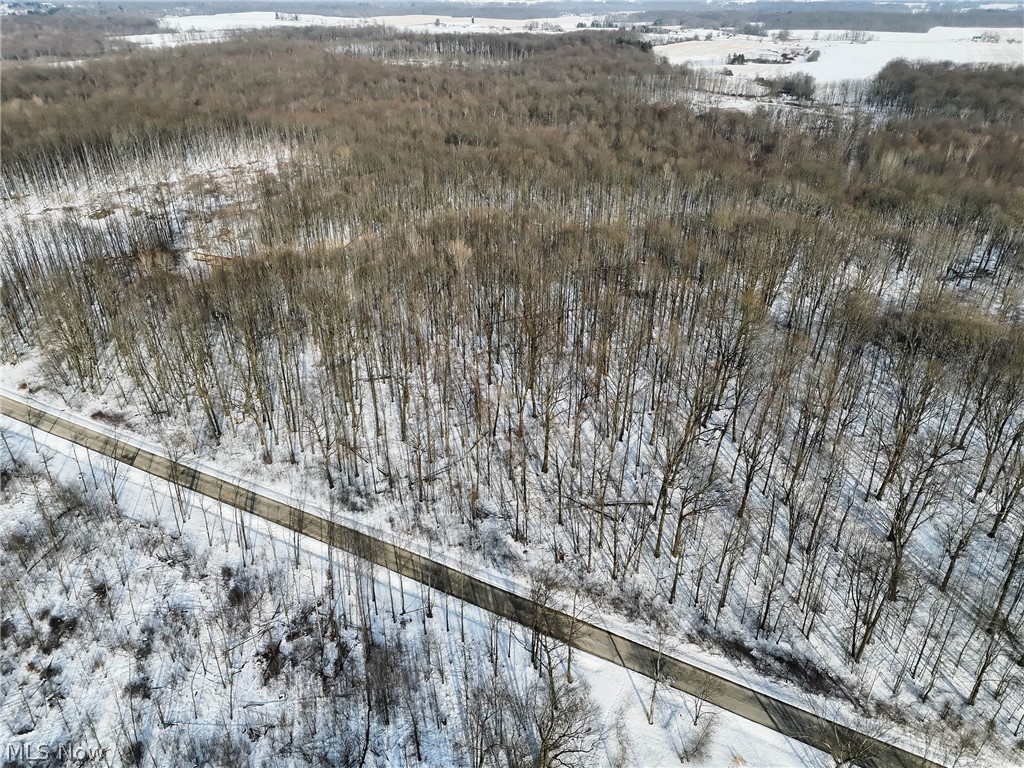 Snowy aerial view with a view of trees