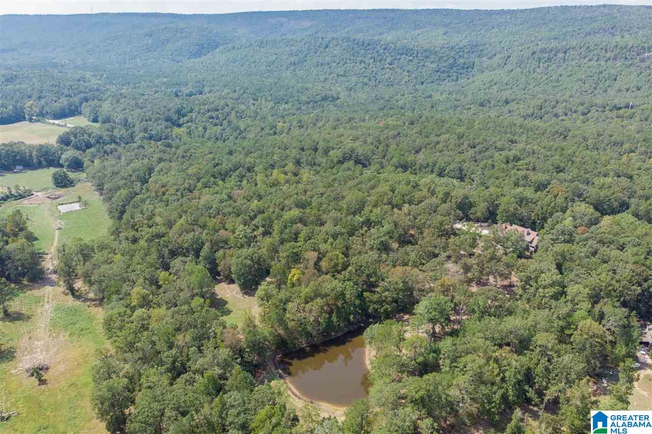 7476 Bear Creek Road Sterrett, AL 35147 - Photo 48 of 50