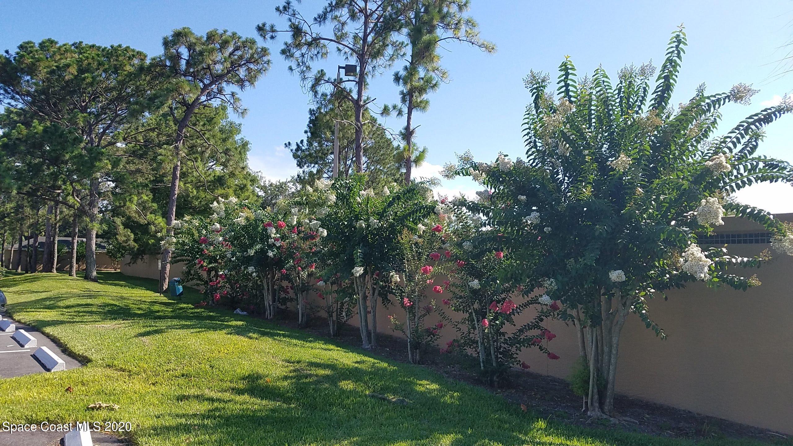 7667 North Wickham Road, Unit 406 Melbourne, FL 32940 - Photo 24 of 28 LAWN
