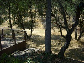 16872 Stagecoach Road Corning, CA 96021 - Photo 8 of 8 a view of lake from a tree