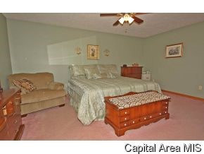 10 Towle Road Divernon, IL 62530 - Photo 8 of 12