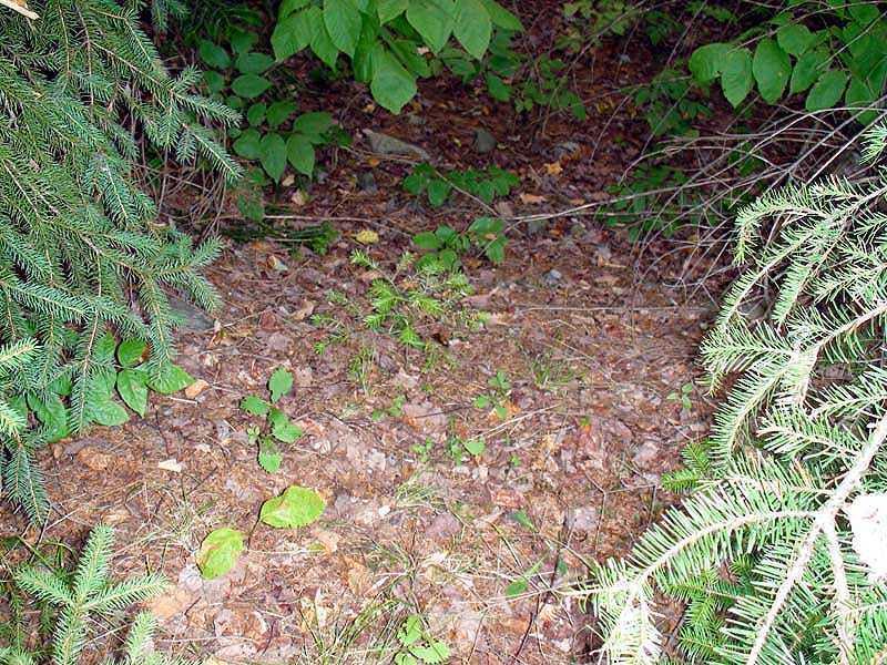 Lot 13 Frenchville Road Patten, ME 04765 - Photo 22 of 23 Land.