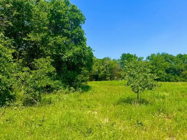 $109,000 | Lot 49 Wicklow Court, Poolville, TX 76487
