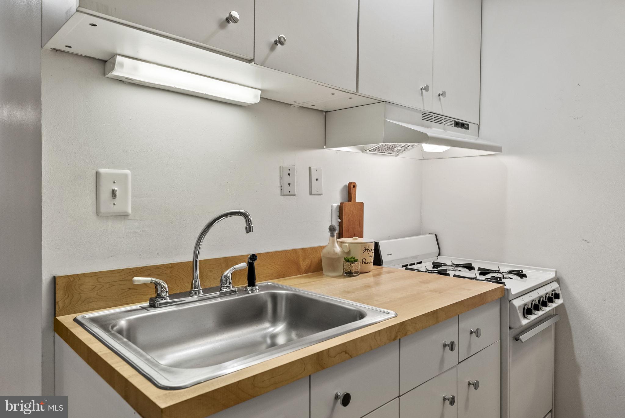 128 11th Street Southeast Washington, DC 20003 - Photo 36 of 52 Lower level kitchen
