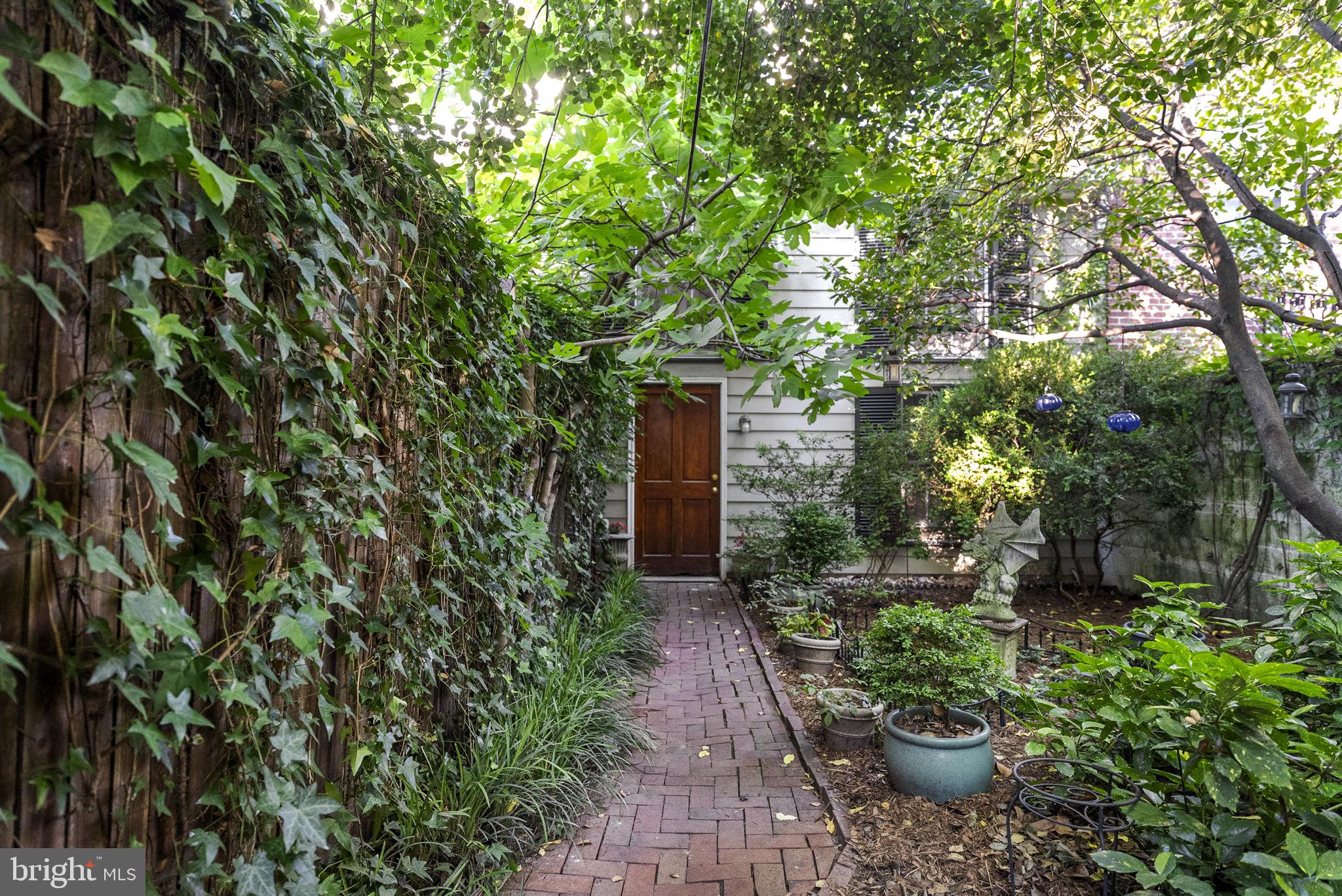 128 11th Street Southeast Washington, DC 20003 - Photo 43 of 52 Backyard