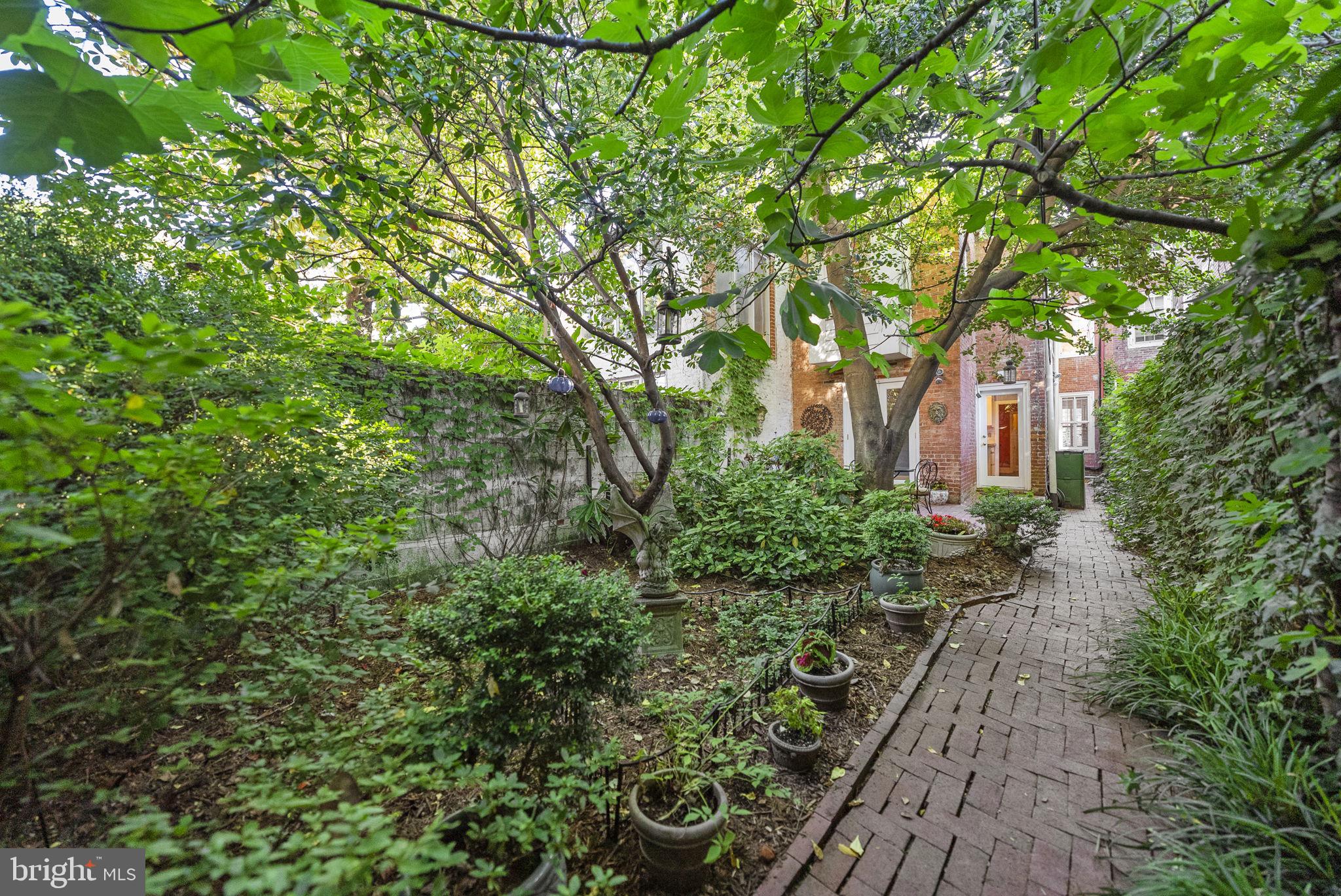 128 11th Street Southeast Washington, DC 20003 - Photo 44 of 52 Backyard