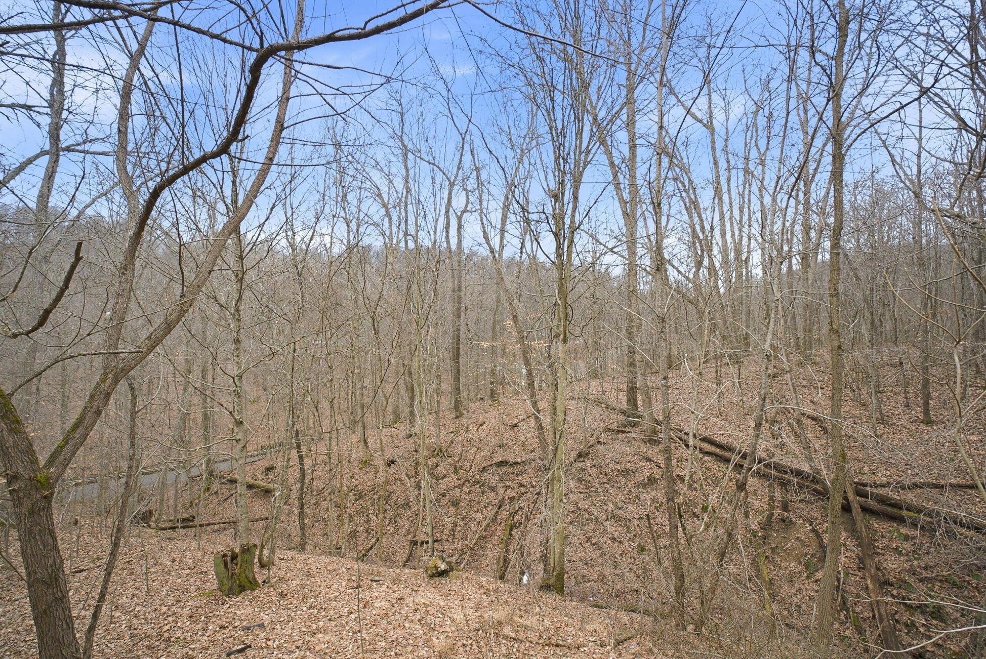 28930 Big Pine Road Logan, OH 43138 - Photo 75 of 98 .