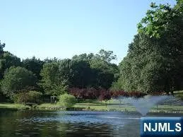 a view of lake with green space