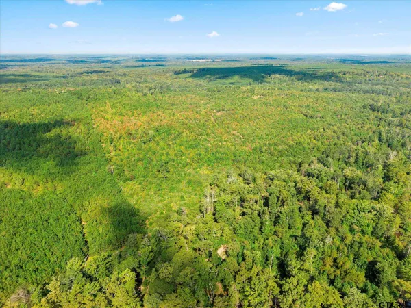 a view of a green field with lots of bushes