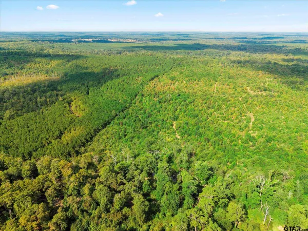 a view of a green field with lots of bushes