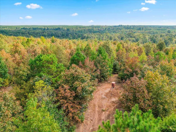 a view of an ocean from a yard