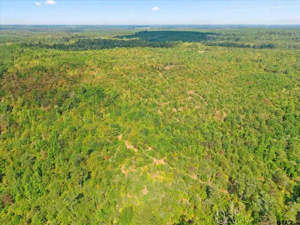 a view of lake with green space