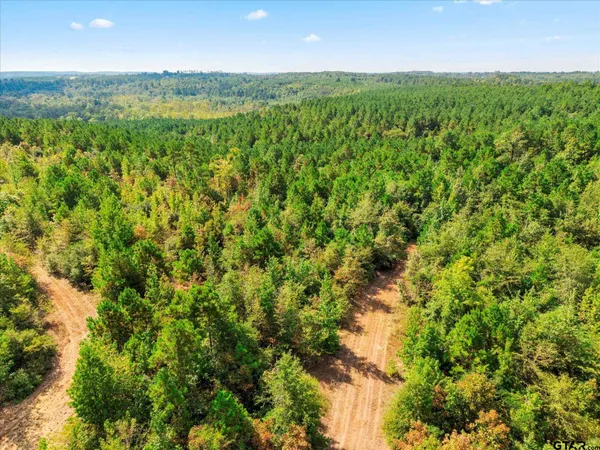 an aerial view of a house with a yard and lake view