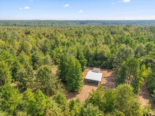 a view of a yard with plants and a small yard