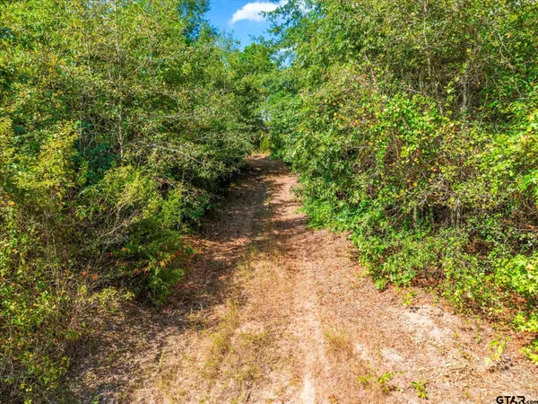 $129,000 | 1162 County Road 1647, Avinger, TX 75630