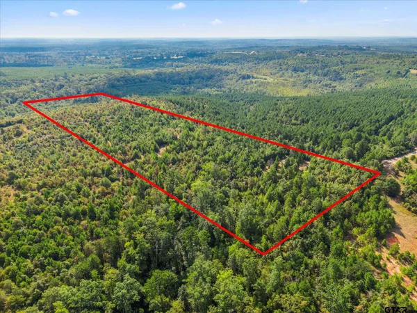 a view of a lush green field