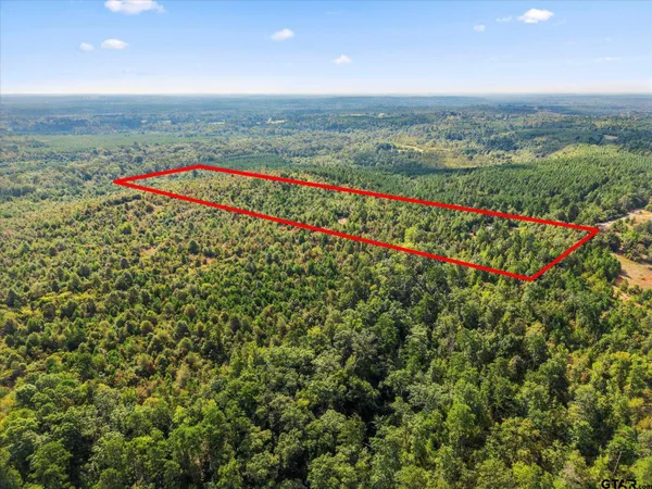 an aerial view of a houses with a lush green forest