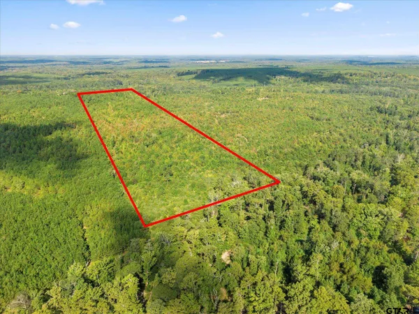 a view of a city and an ocean