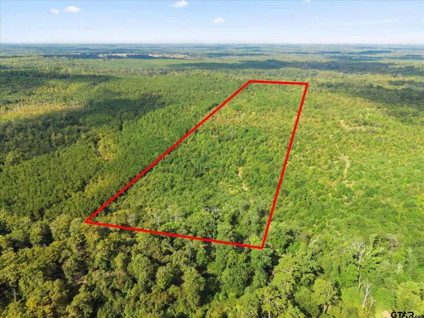 a view of an ocean and beach