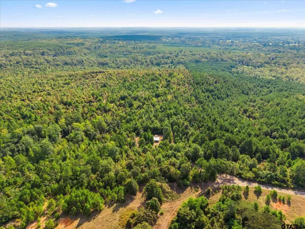 a view of a city with lush green forest