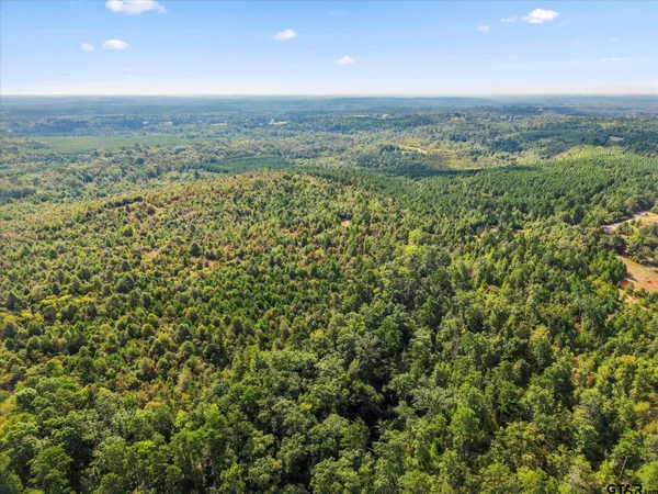 an aerial view of forest