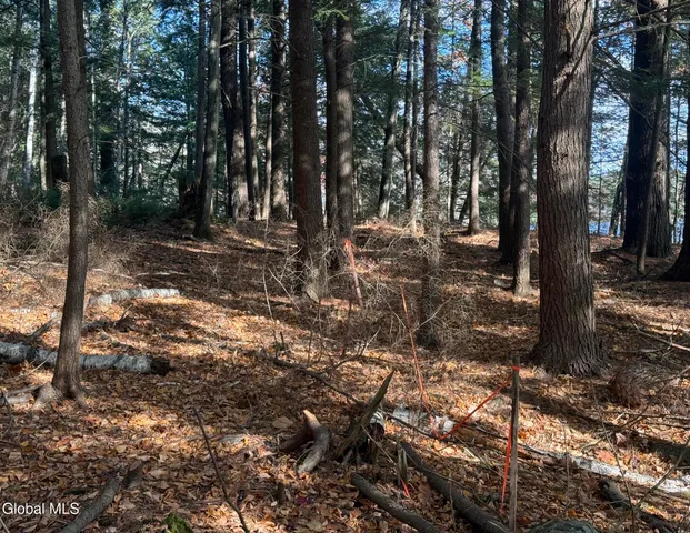 $695,000 | 23 Teds Way, Bolton, NY 12824