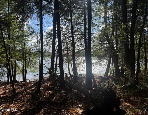 $695,000 | 23 Teds Way, Bolton, NY 12824