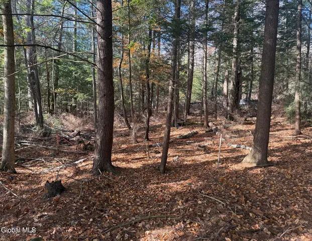 $695,000 | 23 Teds Way, Bolton, NY 12824