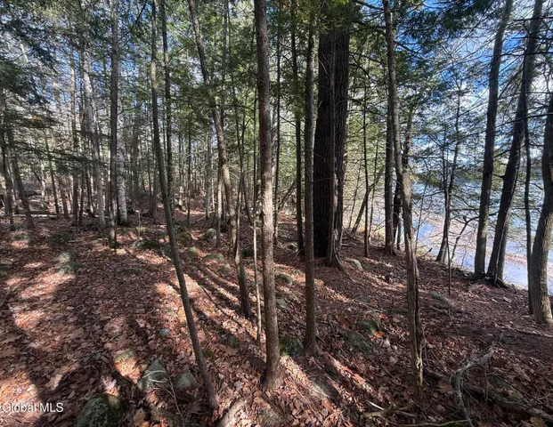 $695,000 | 23 Teds Way, Bolton, NY 12824