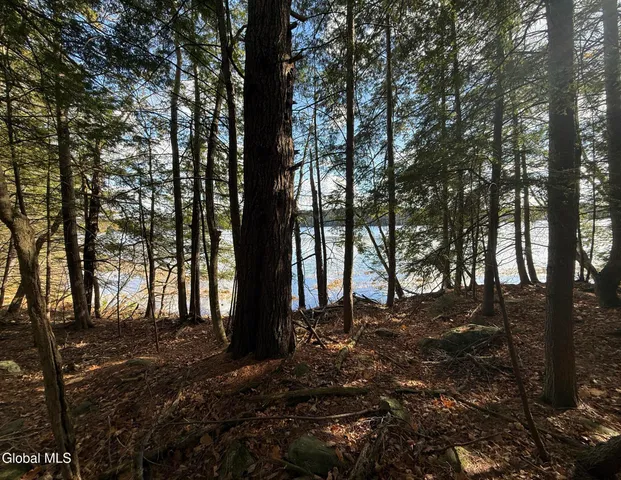 $695,000 | 23 Teds Way, Bolton, NY 12824