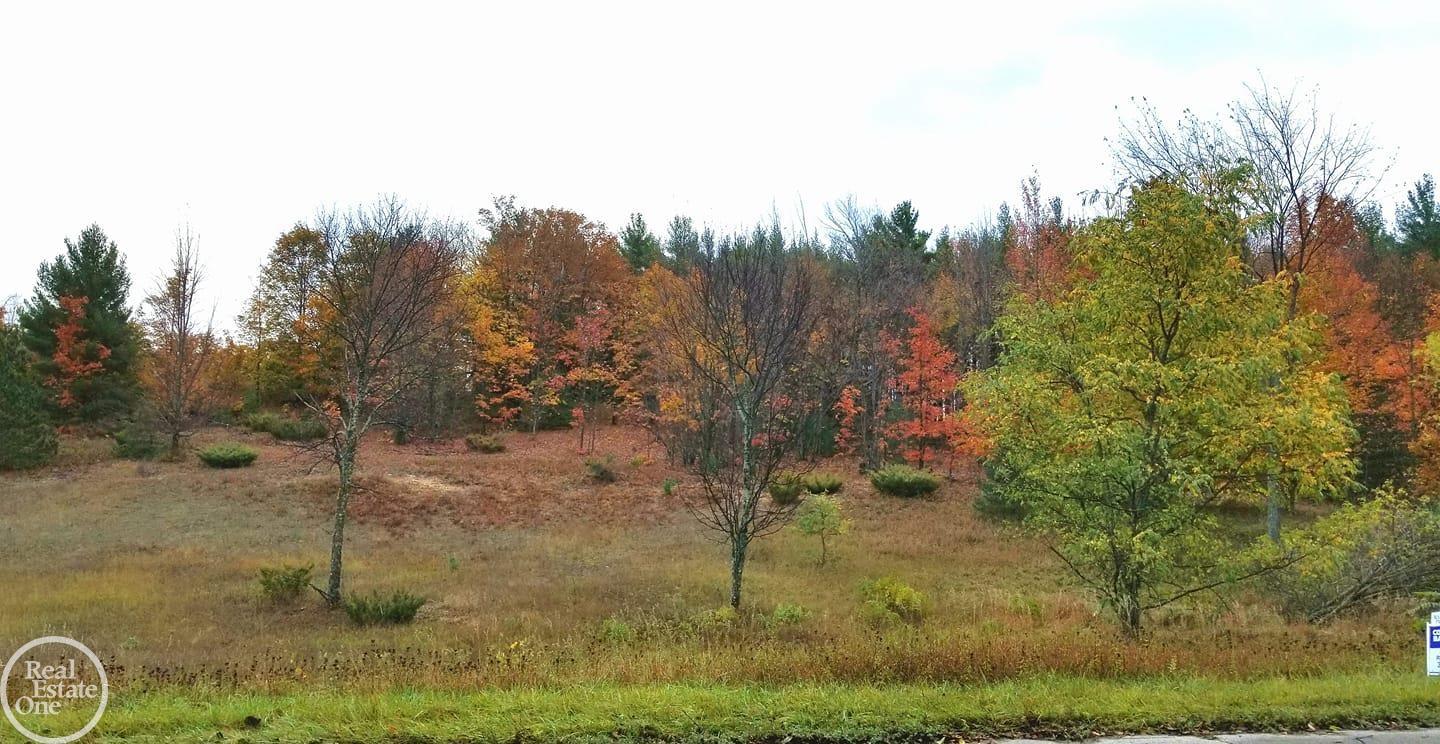 South Fritz Road Maple City, MI 49664 - Photo 2 of 14