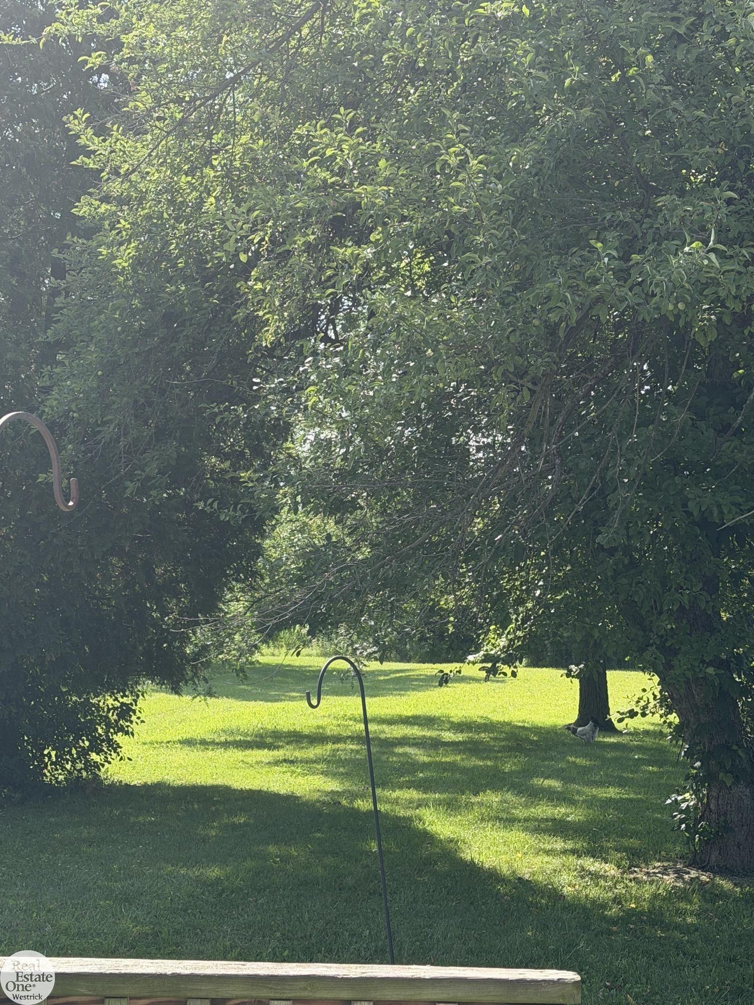 8164 North River Road Marine City, MI 48039 - Photo 23 of 23 Rear Yard