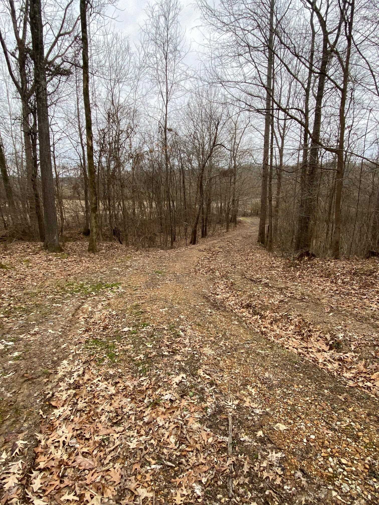 1323 Marshall Road Brighton, TN 38011 - Photo 7 of 14 Be very careful driving on the driveway until a fresh load of gravel has been delivered/spread.
