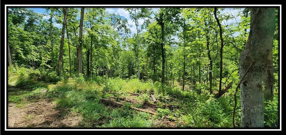 0 Featherstone Road Stewart, OH 45778 - Photo 56 of 72 image057