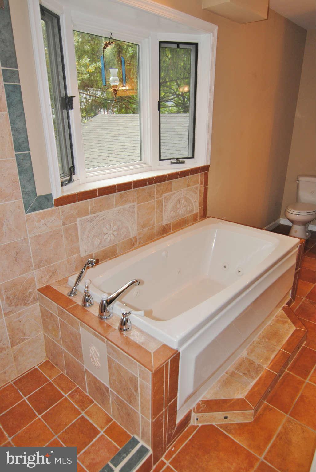 8007 Lady Lewis Court Springfield, VA 22153 - Photo 14 of 30 Bath (Master)