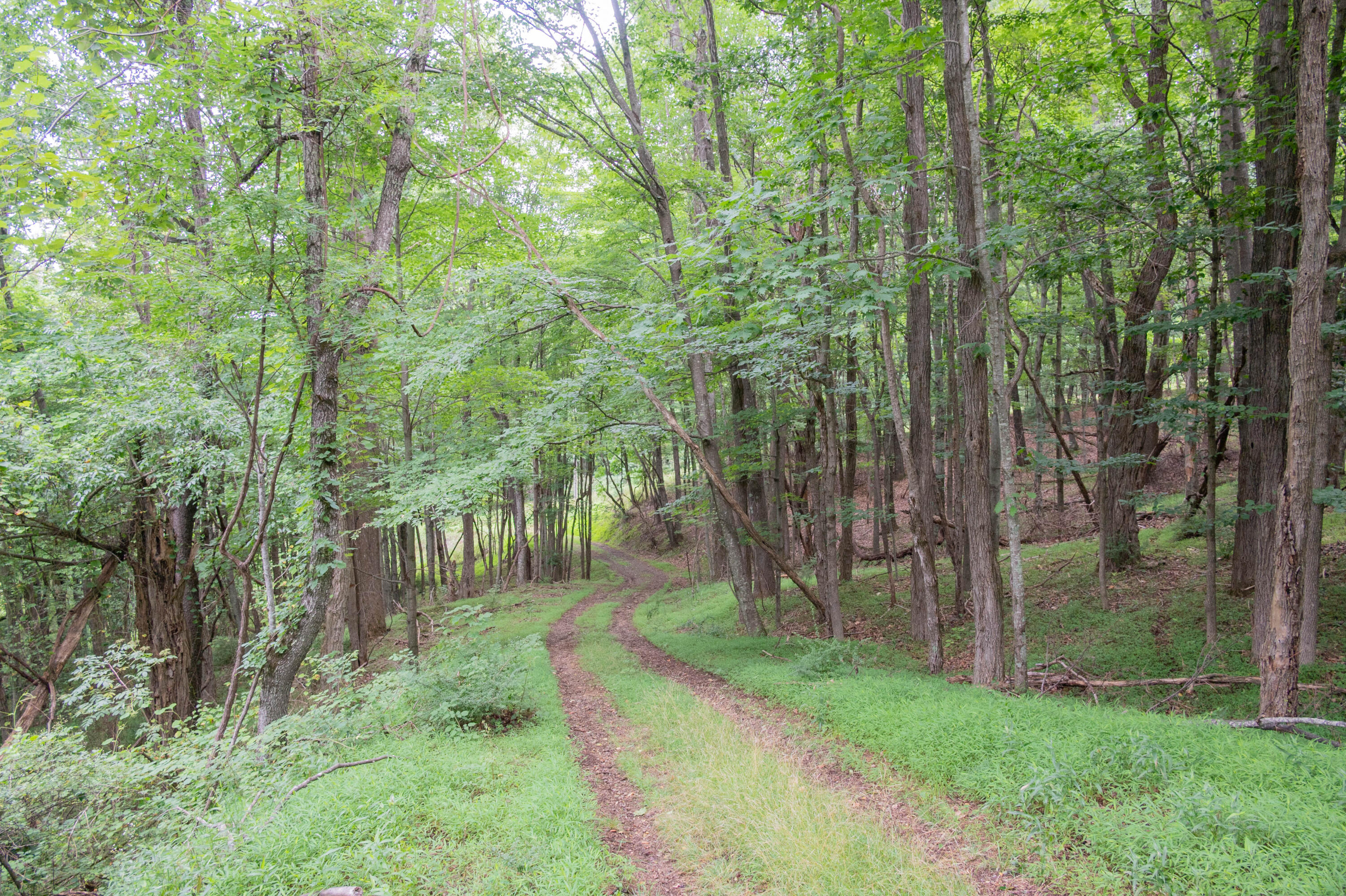 1550 Fairview Church Road Southwest Floyd, VA 24091 - Photo 3 of 50 floyd-2