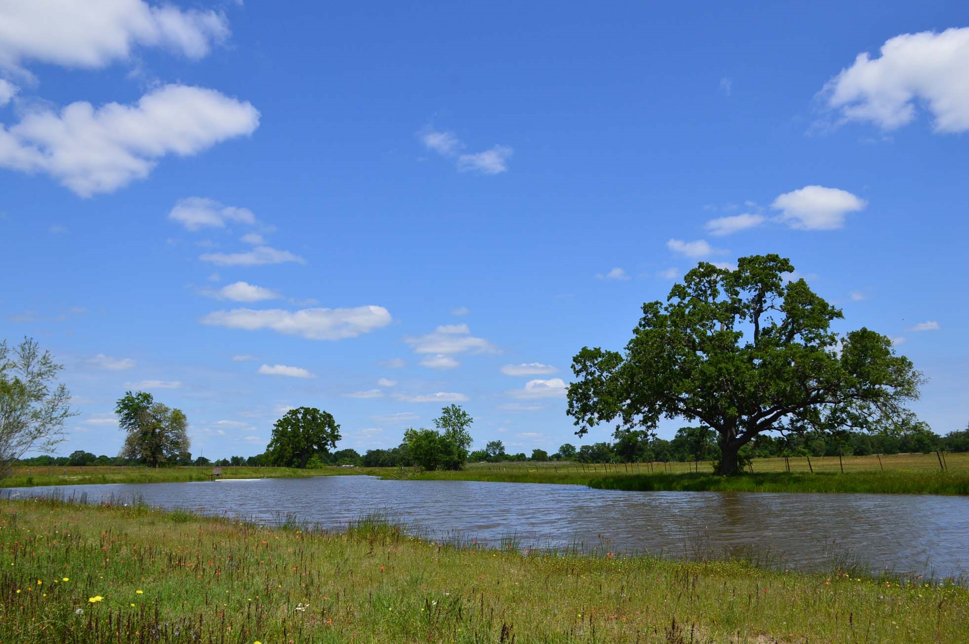 15130 Fm 39 Road Bedias, TX 77831 - Photo 3 of 26