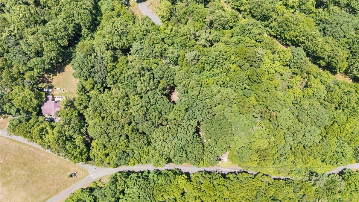 Tbd Dogwood Ridge Fancy Gap, VA 24328 - Photo 20 of 24 11-DJI_20260702131431_0011_D